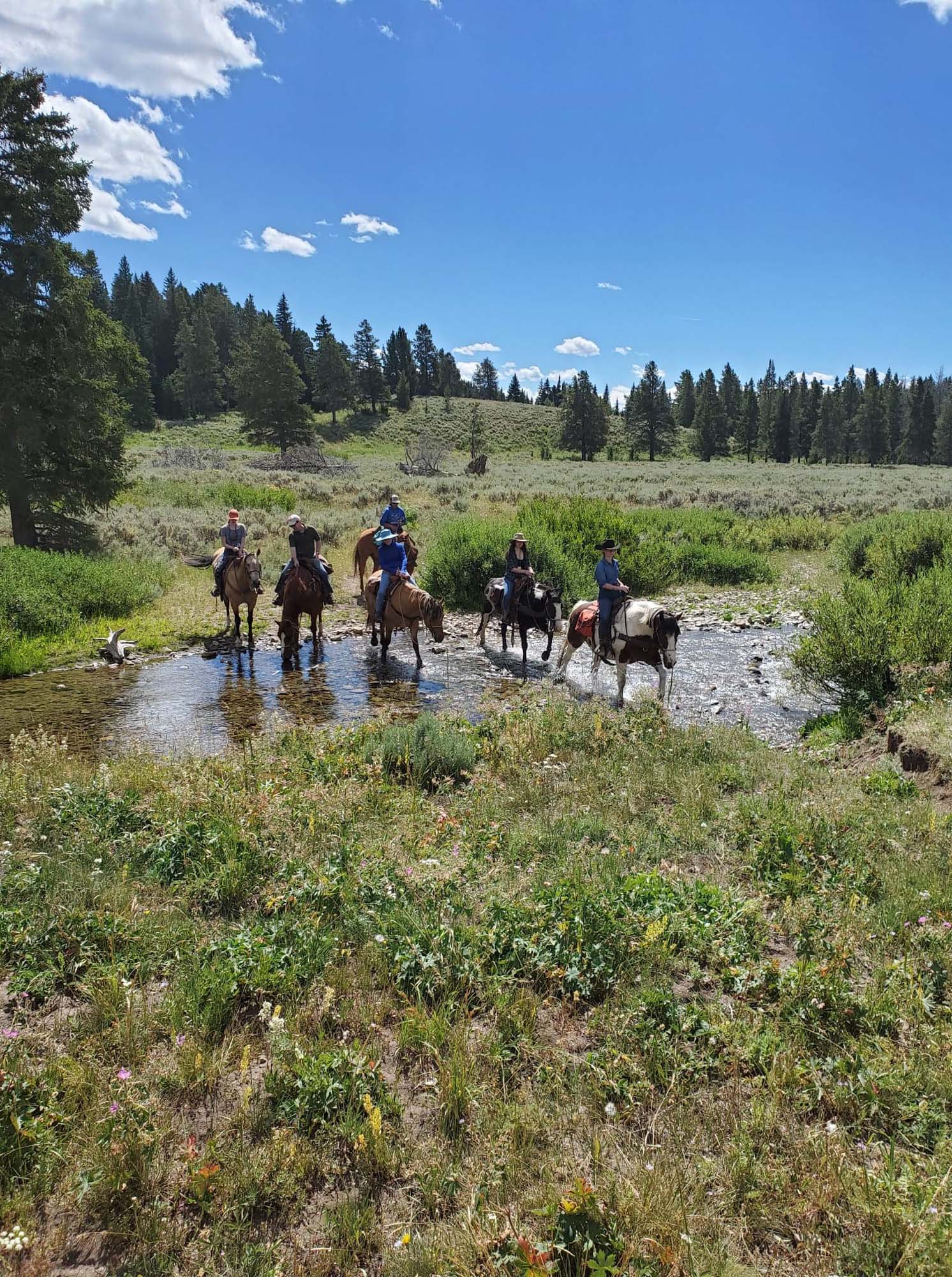 Yellowstone National Park Horseback Riding Day Trips